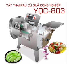 Máy thái rau củ quả công nghiệp YQC 803