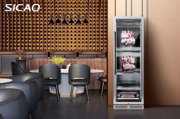 Tủ ủ thịt Dry Ager 380L Sicao DA400S