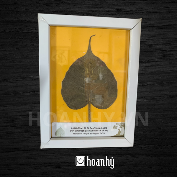 Khung tranh lá Bồ Đề để bàn