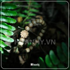 Vòng sen đơn 8 ly