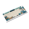 Bàn phím cơ AKKO MOD 007B HE PC Joy of Life (Hotswap,RGB / USB Type C 8K Hz/ Magnetic Switch / Rapid Trigger)