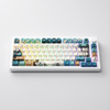 Bàn phím cơ AKKO MOD 007B HE PC Joy of Life (Hotswap,RGB / USB Type C 8K Hz/ Magnetic Switch / Rapid Trigger)