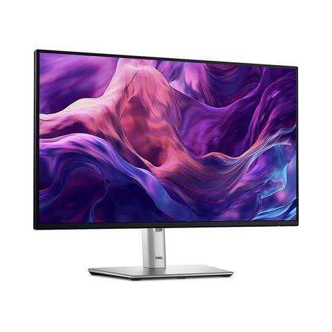Màn hình đồ họa Dell P2425H 24 Inch IPS FHD 100Hz