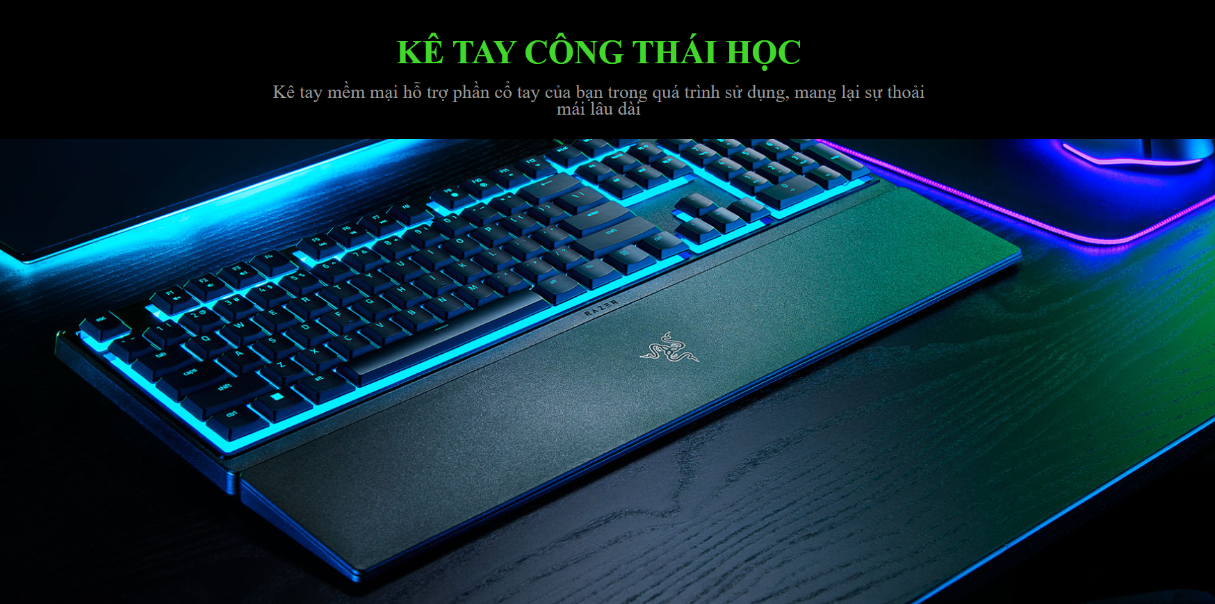 Bàn phím game Razer Ornata V3X-Low Profile (USB/RGB) (RZ03-04470100-R3M1) 6