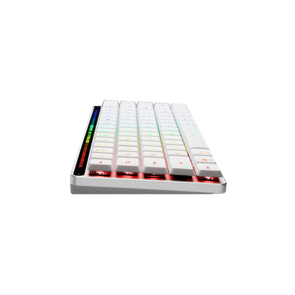 Bàn phím Asus ROG Falchion RX Low Profile Red Switch/Blue Switch