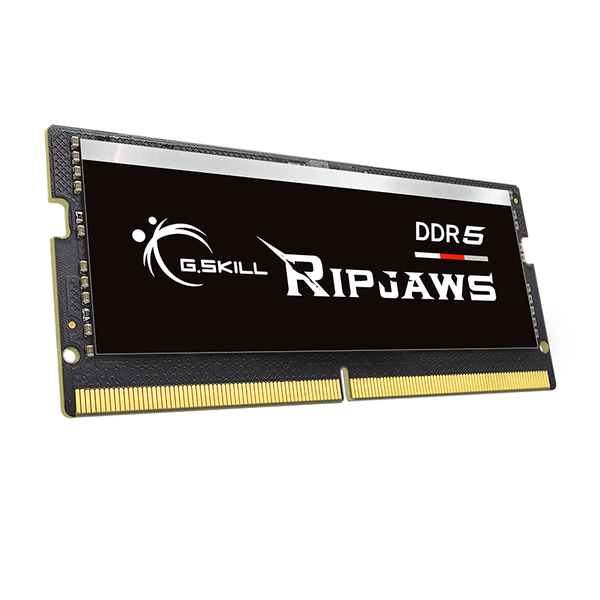 Ram Laptop Gskill 16GB DDR5 5600Mhz (F5-5600S4645A16GX1-RS) 