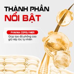 XỊT PHỒNG TÓC