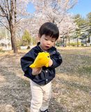  Thổi bong bóng phát nhạc Baby Shark của hãng Pinkfong 