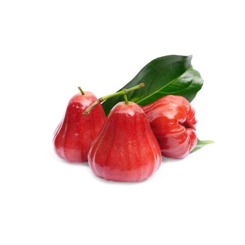 1kg Trái mận đỏ AN PHƯỚC - Tiền Giang