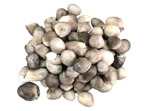 1kg Nấm rơm tươi