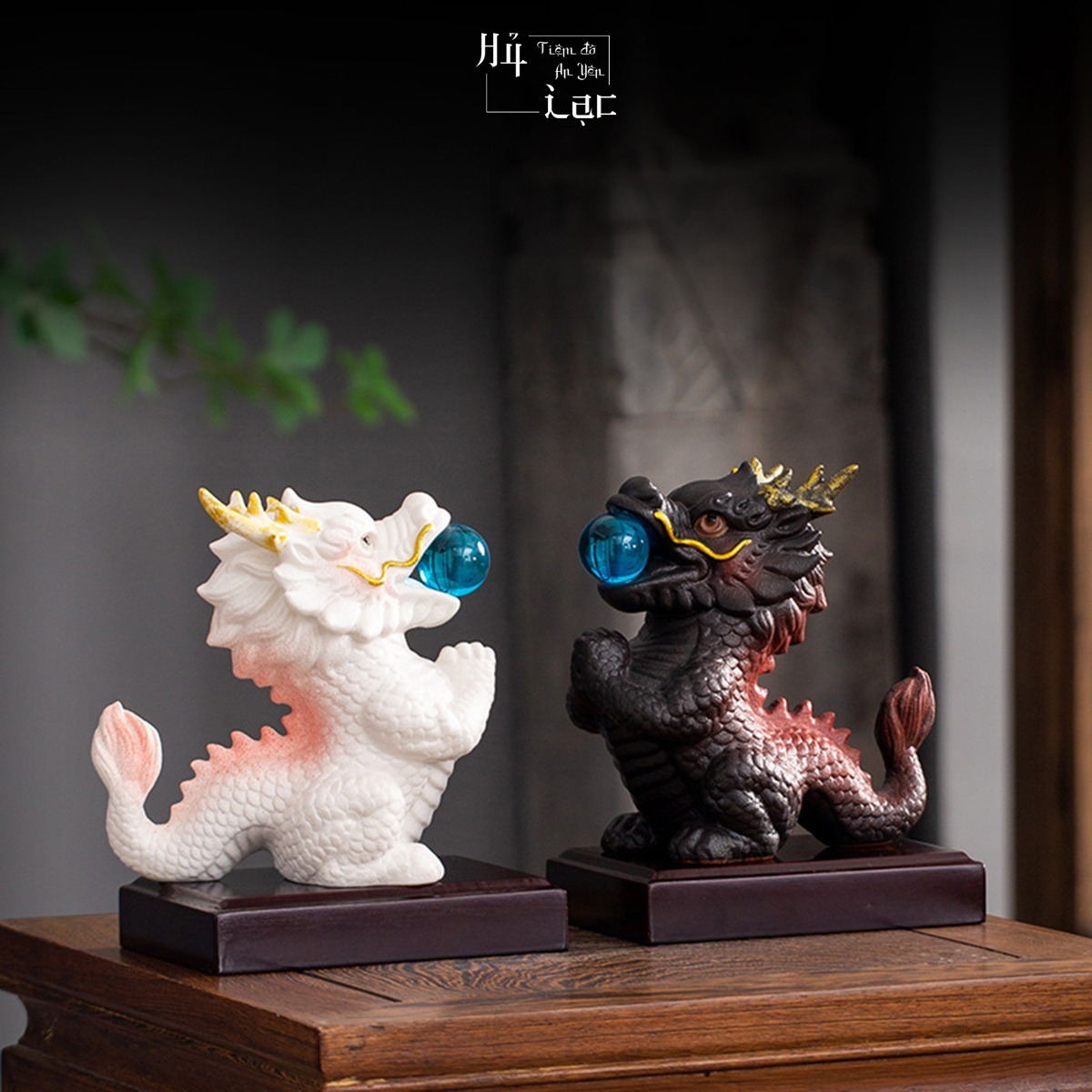  Tiểu Long Ngậm Ngọc 