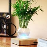 Chậu Cây Cảnh Lơ Lửng Nhờ Từ Tính, Chậu Cây Sen Đá, Chậu Bonsai Đẹp, Độc Lạ Dùng Decor Bàn Làm Việc, Phòng Khách 