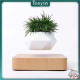  Chậu Cây Cảnh Lơ Lửng Nhờ Từ Tính, Chậu Cây Sen Đá, Chậu Bonsai Đẹp, Độc Lạ Dùng Decor Bàn Làm Việc, Phòng Khách 