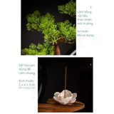  Tượng Phật Thích Ca Ngồi Thiền Dưới Gốc Cây Kèm kệ Đèn Led Decor An Yên 
