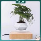  Chậu Cây Cảnh Lơ Lửng Nhờ Từ Tính, Chậu Cây Sen Đá, Chậu Bonsai Đẹp, Độc Lạ Dùng Decor Bàn Làm Việc, Phòng Khách 