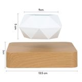  Chậu Cây Cảnh Lơ Lửng Nhờ Từ Tính, Chậu Cây Sen Đá, Chậu Bonsai Đẹp, Độc Lạ Dùng Decor Bàn Làm Việc, Phòng Khách 