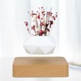  Chậu Cây Cảnh Lơ Lửng Nhờ Từ Tính, Chậu Cây Sen Đá, Chậu Bonsai Đẹp, Độc Lạ Dùng Decor Bàn Làm Việc, Phòng Khách 