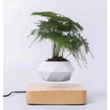  Chậu Cây Cảnh Lơ Lửng Nhờ Từ Tính, Chậu Cây Sen Đá, Chậu Bonsai Đẹp, Độc Lạ Dùng Decor Bàn Làm Việc, Phòng Khách 