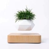  Chậu Cây Cảnh Lơ Lửng Nhờ Từ Tính, Chậu Cây Sen Đá, Chậu Bonsai Đẹp, Độc Lạ Dùng Decor Bàn Làm Việc, Phòng Khách 