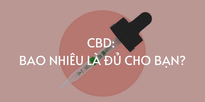  Bao nhiêu tinh dầu CBD vape là đủ cho bạn?