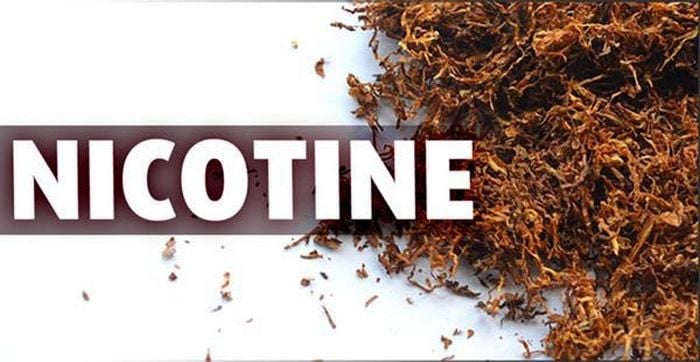 Chất nicotine là gì?