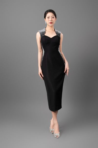  Đầm Zanratia Đính 