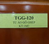 Tủ Áo TGG-120-1