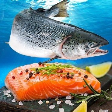 Thưởng Thức Tuyệt Phẩm - Sashimi Cá Hồi Tươi NAUY