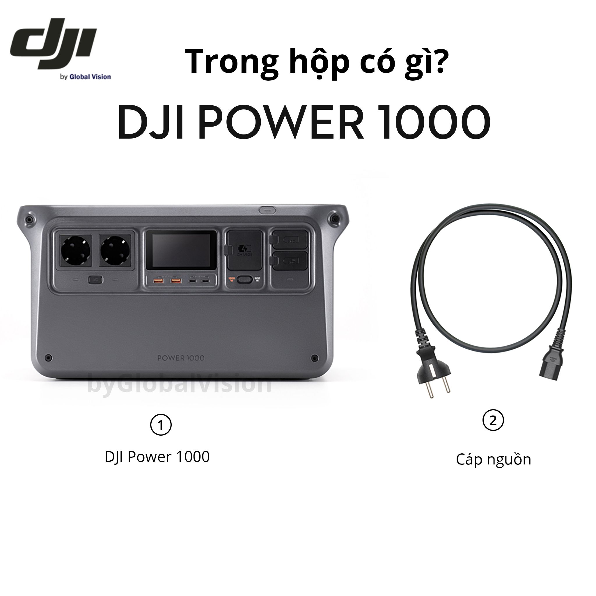 DJI Power 1000v2