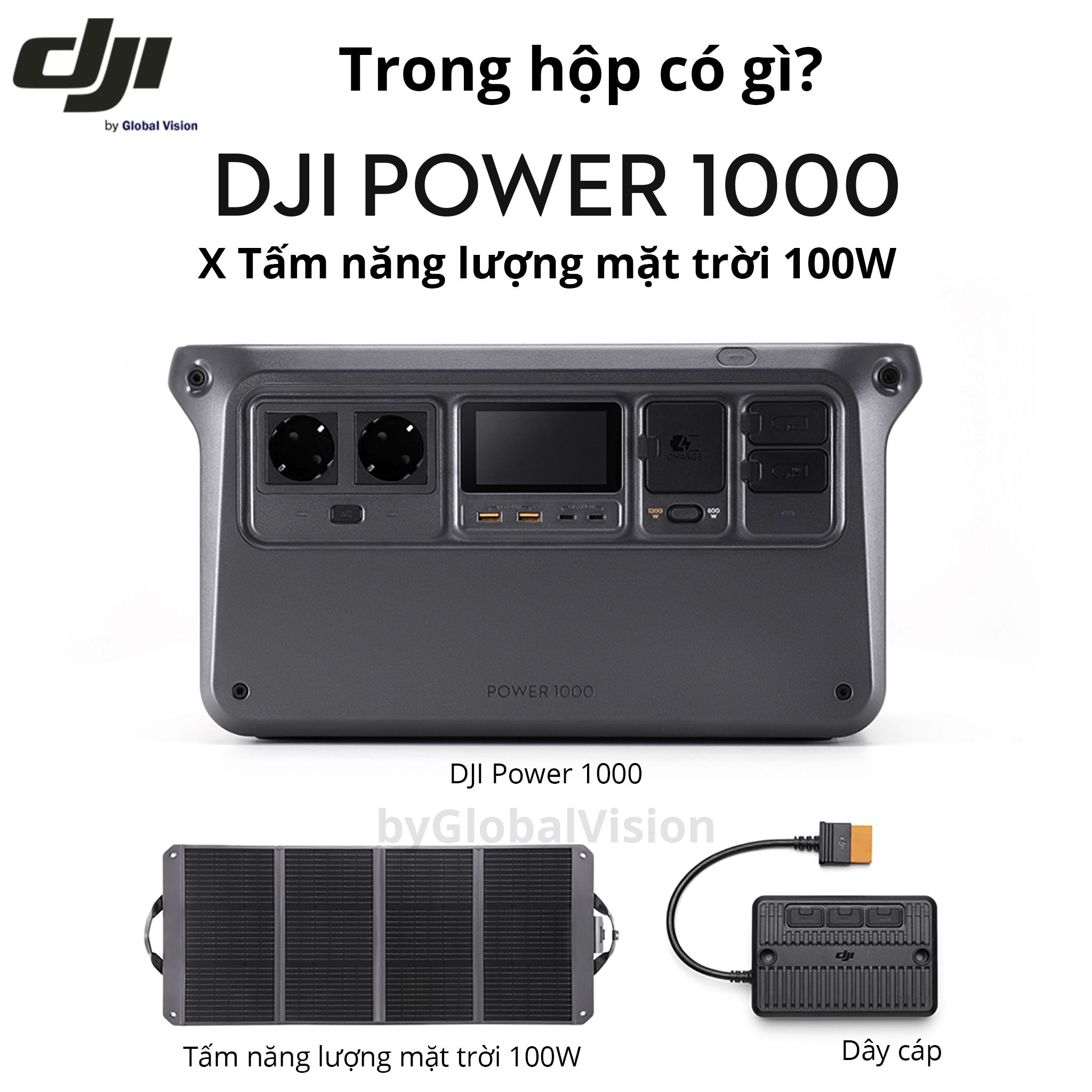 DJI Power 1000v2