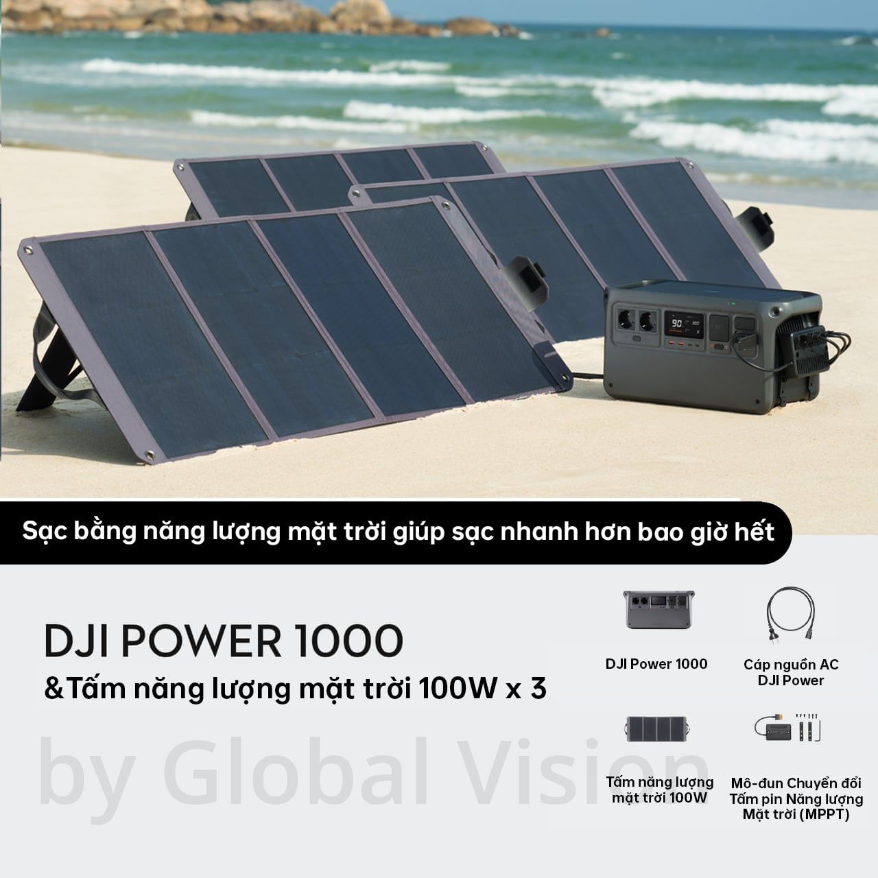 DJI Power 1000v2