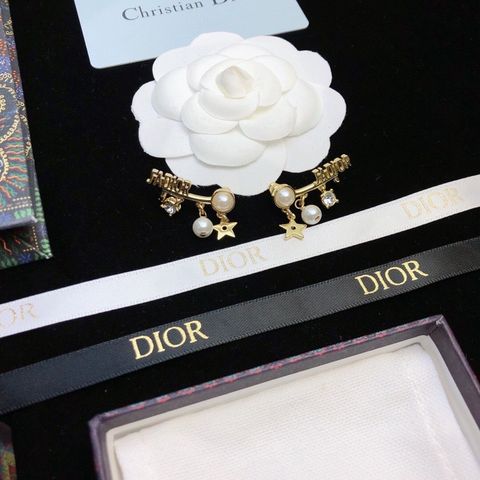  Dior Classic CD Earrings 