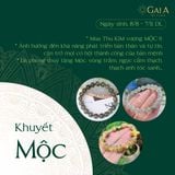  Vòng khuyết mệnh Mộc - Thạch Anh Tóc Xanh 