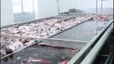  Bleeding System 