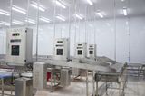  Post - Filleting Line 