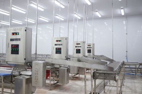  Post - Filleting Line 