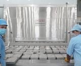  Individual Quick Freezer (IQF) System 