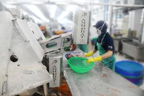  Máy lạng da trống lạnh 