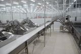 Post - Filleting Line 