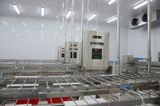  Breaded Conveyor 