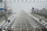  Breaded Conveyor 