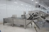  Fillet Washing Machine 