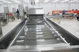  Fillet Washing Machine 