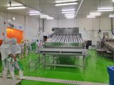  Roller Grading Machine 