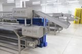  De - Heading Conveyor Line 