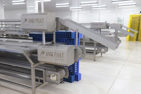  De - Heading Conveyor Line 