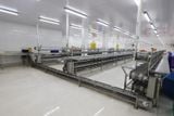  De - Heading Conveyor Line 