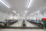  De - Heading Conveyor Line 