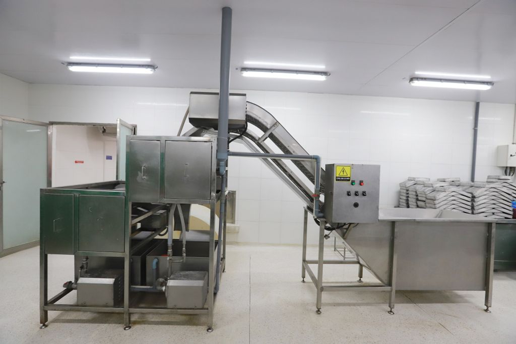  Peeled Shrimp Washing Machine PD/PUD/PTO 