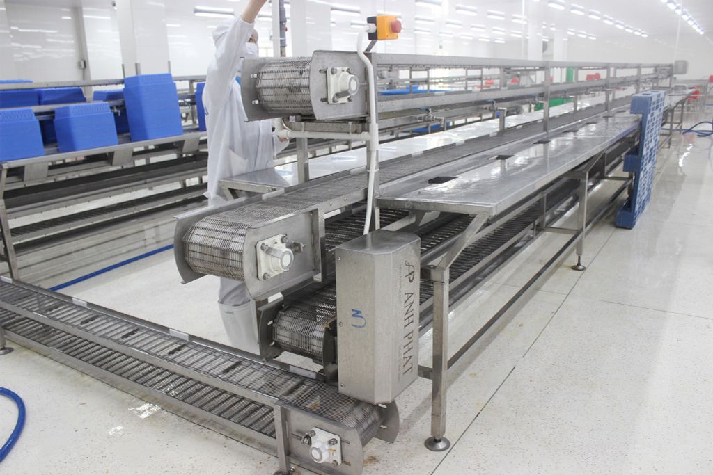  Peeling Conveyor System 